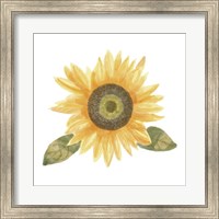 Single Sunflower II Fine Art Print