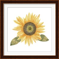 Single Sunflower II Fine Art Print