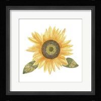 Single Sunflower II Framed Print