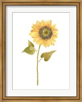 Single Sunflower Portrait I Fine Art Print