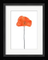 Solo Poppy Red II Framed Print