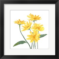 Wildflower Group I Framed Print