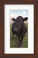 Funky Cow II Fine Art Print