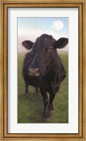 Funky Cow II Fine Art Print