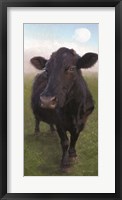 Funky Cow II Framed Print
