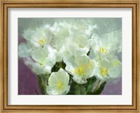 Sunlit Tulips Fine Art Print