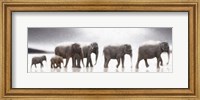 Elephant Mirage Fine Art Print