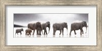 Elephant Mirage Fine Art Print
