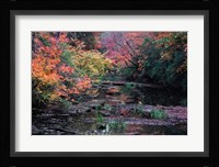 Fall Creek Fine Art Print