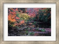 Fall Creek Fine Art Print