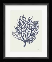 Ocean Finds XIV Navy Framed Print