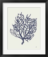 Ocean Finds XIV Navy Framed Print