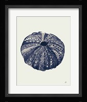 Ocean Finds VII Navy Framed Print