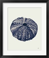 Ocean Finds VII Navy Framed Print