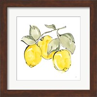 Lemons IV Fine Art Print