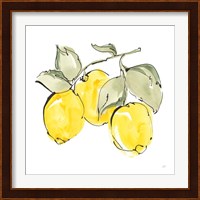 Lemons IV Fine Art Print
