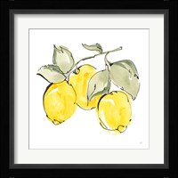 Lemons IV Framed Print
