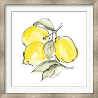 Lemons III Fine Art Print