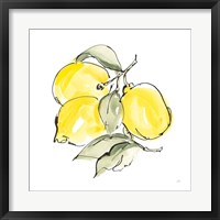 Lemons III Framed Print