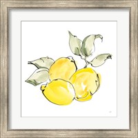 Lemons II Fine Art Print