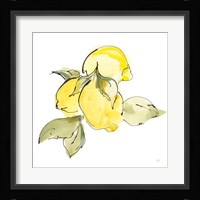 Lemons I Framed Print