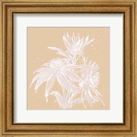 Echinacea IV Fine Art Print