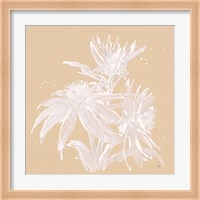 Echinacea IV Fine Art Print
