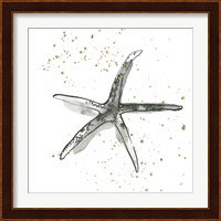 Starfish III Fine Art Print