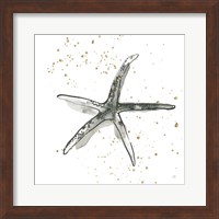 Starfish III Fine Art Print