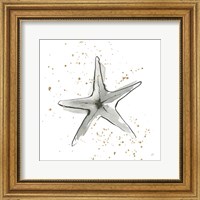 Starfish II Fine Art Print