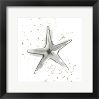 Starfish II Fine Art Print