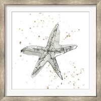 Starfish I Fine Art Print