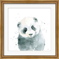 Panda Cub Fine Art Print