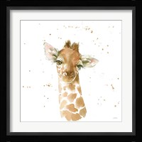 Baby Giraffe Framed Print
