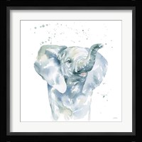 Baby Elephant Framed Print
