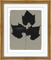 Nature by the Lake Leaves I Gray Fine Art Print