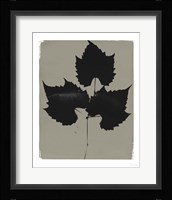 Nature by the Lake Leaves I Gray Framed Print