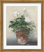 Pot of White Geraniums Fine Art Print