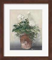 Pot of White Geraniums Fine Art Print