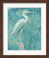 Coastal Egret I Dark Fine Art Print