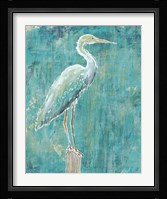 Coastal Egret I Dark Fine Art Print