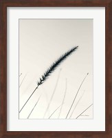 Field Grasses V Fine Art Print