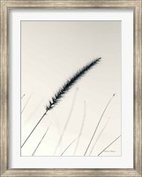 Field Grasses V Fine Art Print