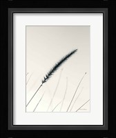 Field Grasses V Framed Print