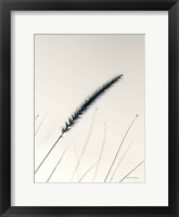 Field Grasses V Framed Print