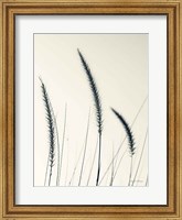 Field Grasses IV Fine Art Print