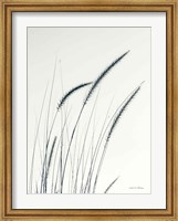 Field Grasses III Fine Art Print