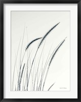 Field Grasses III Fine Art Print