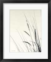 Field Grasses II Framed Print