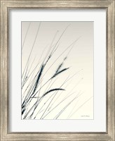 Field Grasses I Fine Art Print